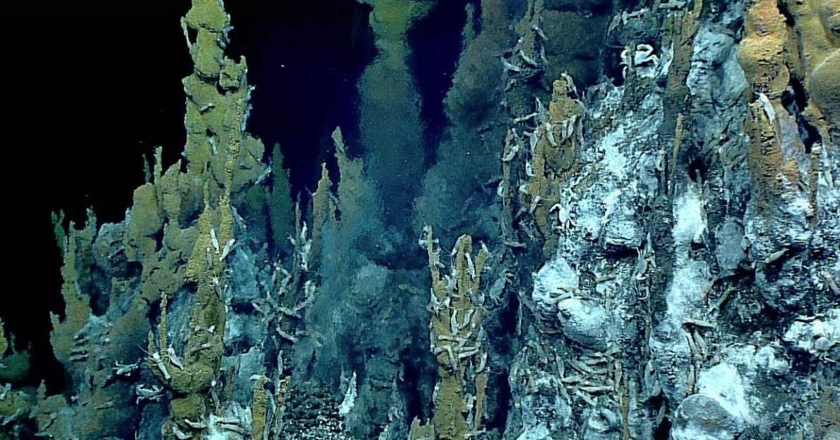 What Is A Hydrothermal Vent Global Foundation For Ocean Exploration