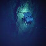 D2 on a rock wall. Credit: NOAA OER