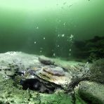 Hot, mineral-rich fluid flows out of a large hydrothermal vent at the bottom of Yellowstone Lake. Credit: GFOE