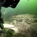 ROV Yogi’s manipulator arm is used to measure the temperature of hot, mineral-rich fluid flowing out of a large hydrothermal vent at the bottom of Yellowstone Lake. Credit: GFOE