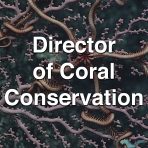 Director of Coral Conservation - Dr. Sandra Brooke