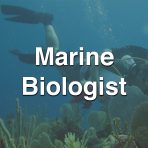 Marine Biologist - Dr. Peter Etnoyer