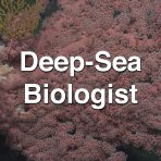 Deep-Sea Biologist - Amy Baco-Taylor