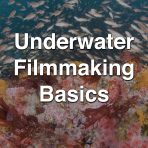 Underwater Filmmaking Basics